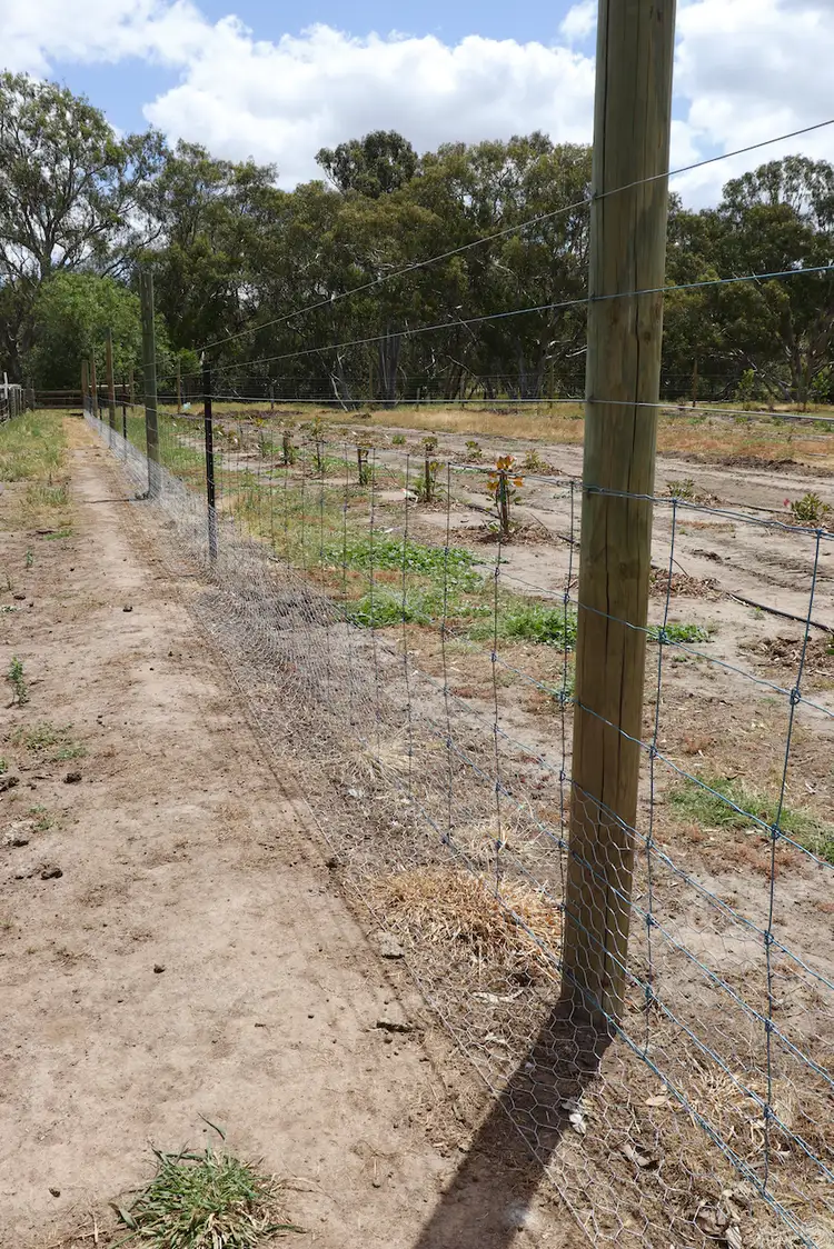 Sixth view of Homely rural property listing, LOT 10 Cambridge Street, Inverleigh VIC 3321