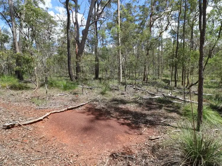 Second view of Homely rural property listing, LOT 47 Mullers Road, Redridge QLD 4660