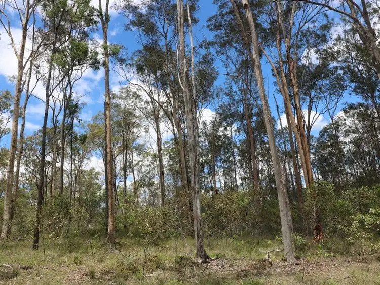 Third view of Homely rural property listing, LOT 47 Mullers Road, Redridge QLD 4660