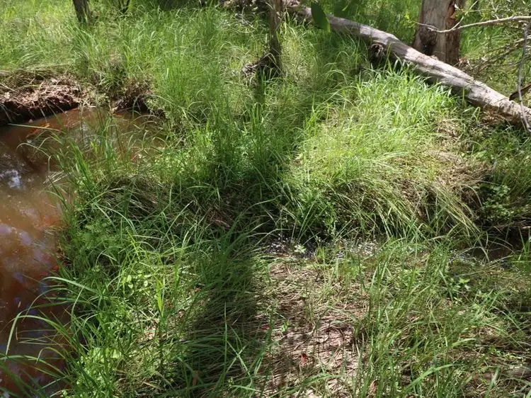 Sixth view of Homely rural property listing, LOT 47 Mullers Road, Redridge QLD 4660