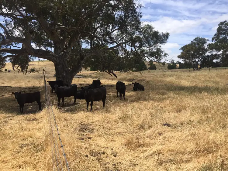 Third view of Homely rural property listing, Lots 102 and 3 Matthews Road, Eden Valley SA 5235