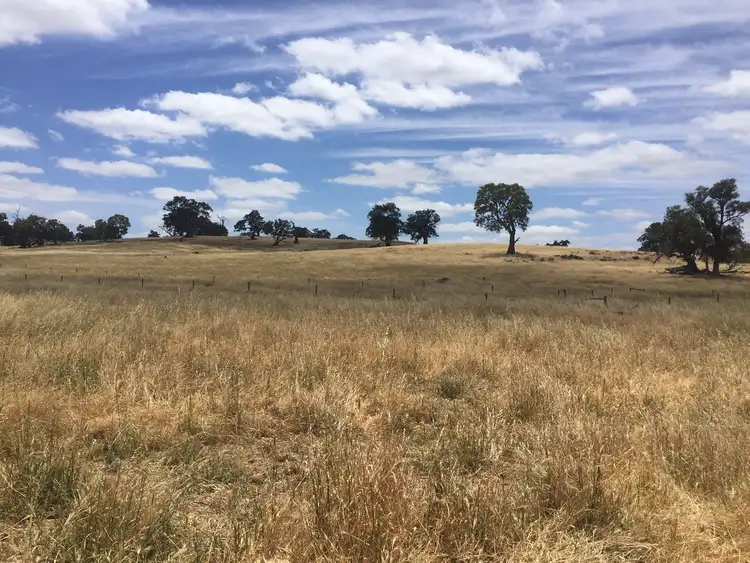 Sixth view of Homely rural property listing, Lots 102 and 3 Matthews Road, Eden Valley SA 5235