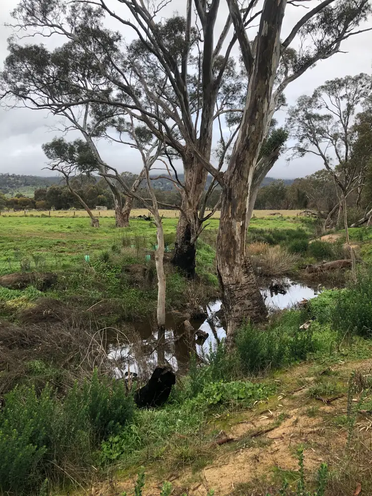 Seventh view of Homely land listing, LOT 13 Molly Drive, Harcourt VIC 3453