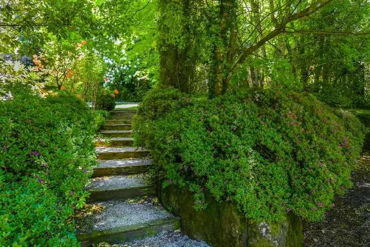 Fifth view of Homely house listing, 968 Mount Macedon Road, Mount Macedon VIC 3441