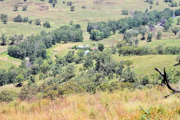 Main view of Homely rural property listing, 501 Cattle Creek Road, Cassilis NSW 2329