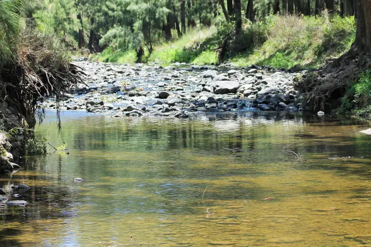 Second view of Homely rural property listing, 501 Cattle Creek Road, Cassilis NSW 2329
