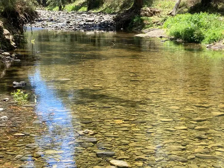 Third view of Homely rural property listing, 501 Cattle Creek Road, Cassilis NSW 2329