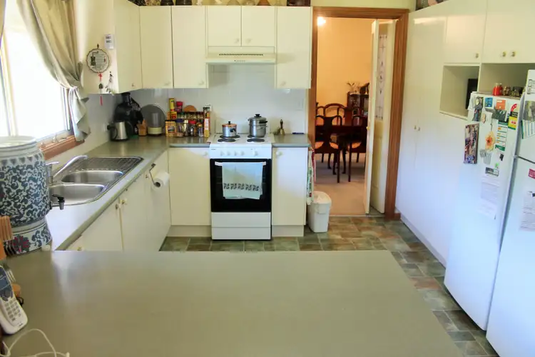 Seventh view of Homely rural property listing, 501 Cattle Creek Road, Cassilis NSW 2329