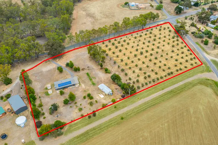 Main view of Homely house listing, 160 Grisold Road, Laanecoorie VIC 3463