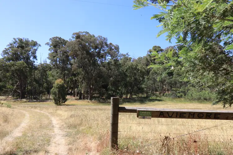 Main view of Homely rural property listing, 146 Moores Road, Caveat VIC 3660