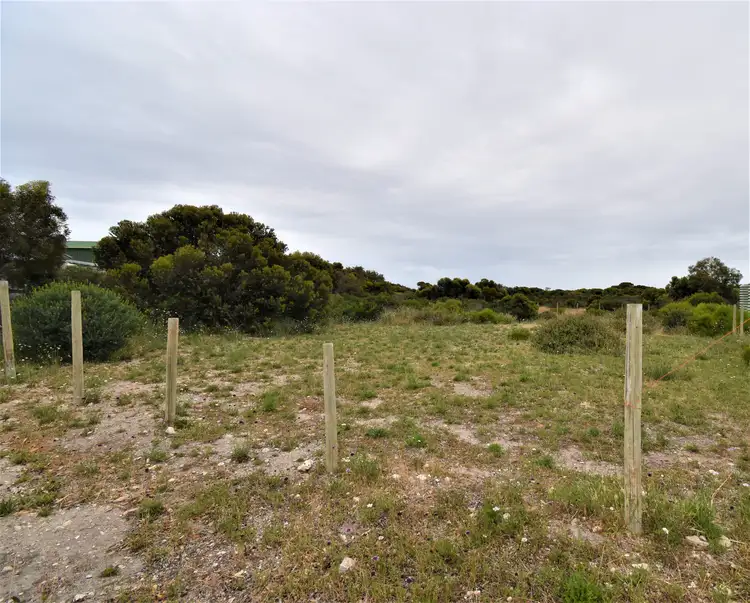 Main view of Homely land listing, 16 Gannet Crescent, Marion Bay SA 5575