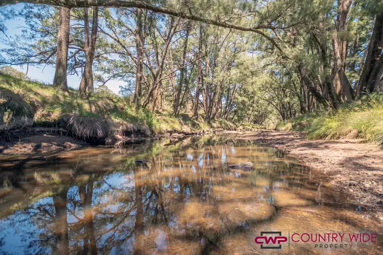 3961 Tent Hill Road, Emmaville NSW 2371