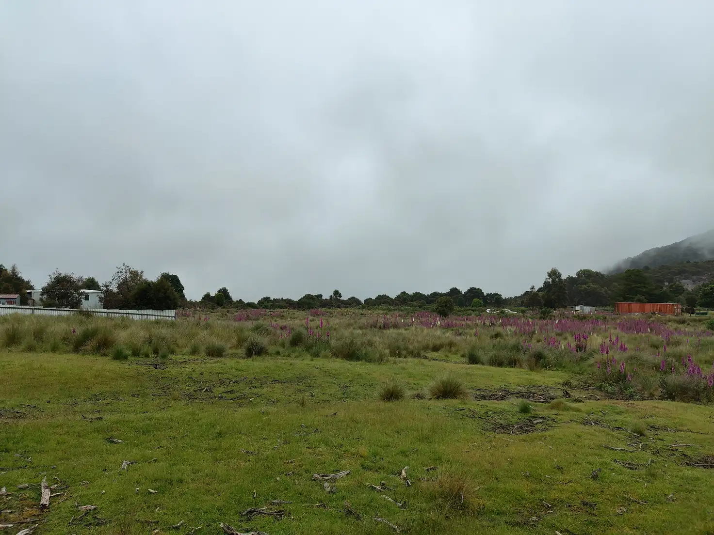 Main view of Homely land listing, 31 Walker, Waratah TAS 7321