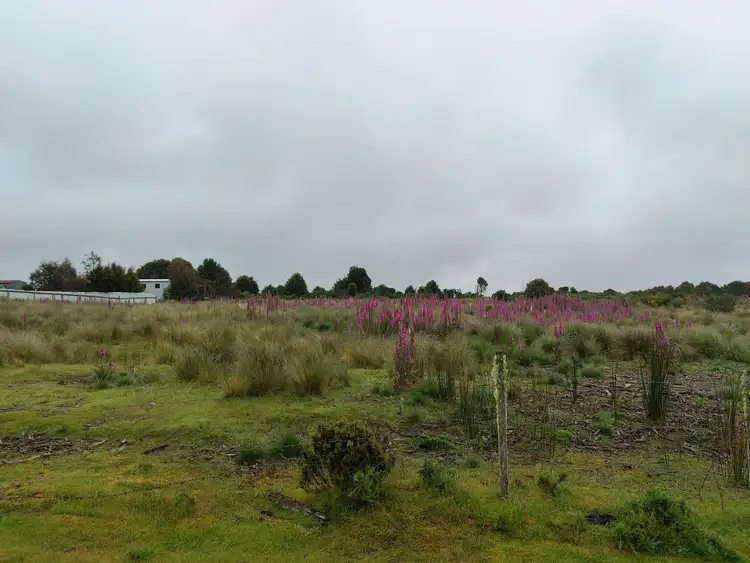 Second view of Homely land listing, 31 Walker, Waratah TAS 7321