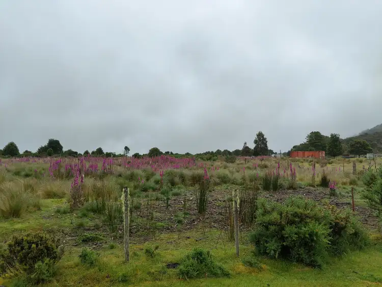 Third view of Homely land listing, 31 Walker, Waratah TAS 7321