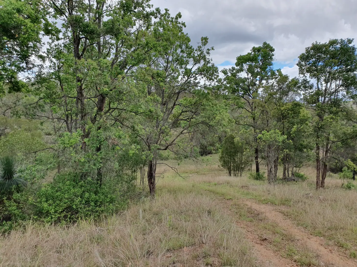 Main view of Homely rural property listing, LOT 67 HARPER ROAD, Blackbutt QLD 4314