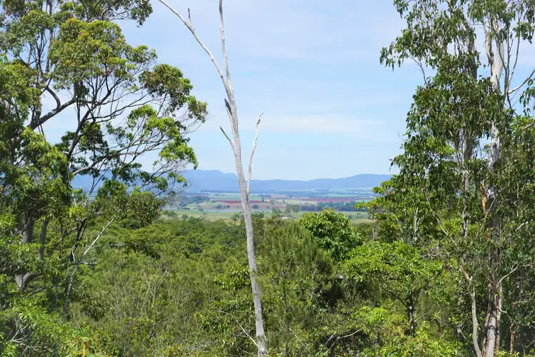 109 Jerome Road, Barrine QLD 4872