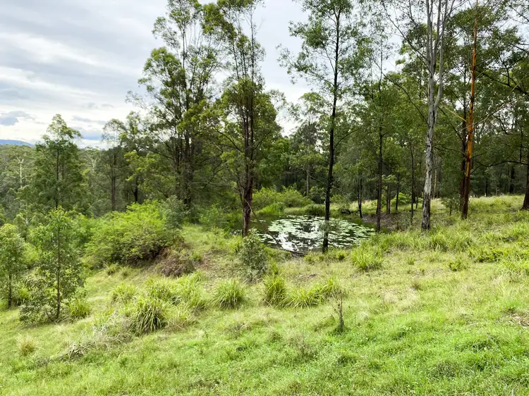 Fifth view of Homely rural property listing, 218 Putta Road, Upper Lansdowne NSW 2430