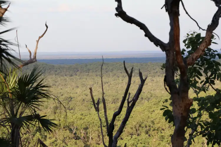 Fourth view of Homely land listing, 45 Guys Creek Road, Acacia Hills NT 822