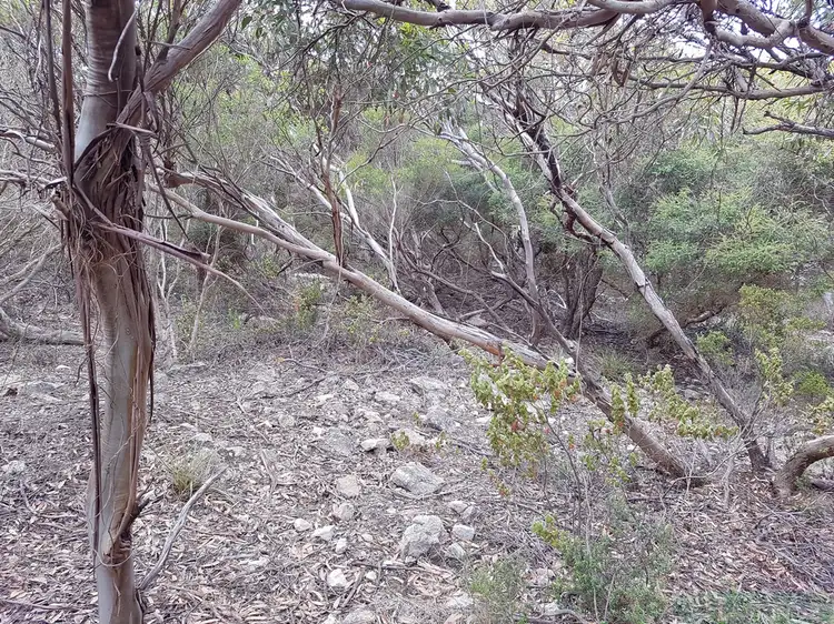 Main view of Homely land listing, LOT 54 Dolphin Crescent, Vivonne Bay SA 5223