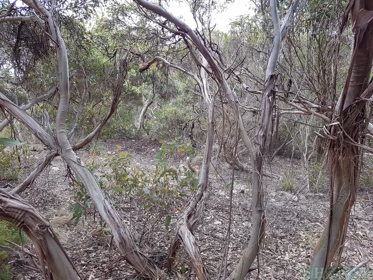 Second view of Homely land listing, LOT 54 Dolphin Crescent, Vivonne Bay SA 5223