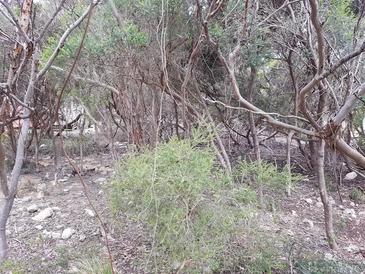 Third view of Homely land listing, LOT 54 Dolphin Crescent, Vivonne Bay SA 5223