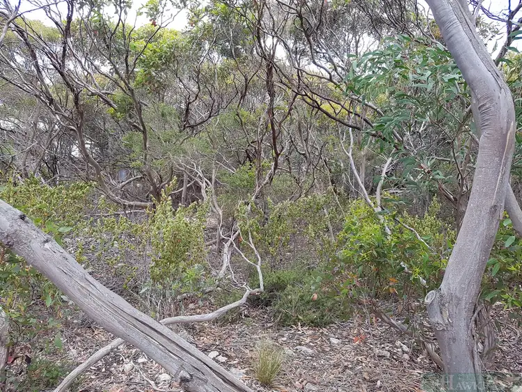 Fifth view of Homely land listing, LOT 54 Dolphin Crescent, Vivonne Bay SA 5223