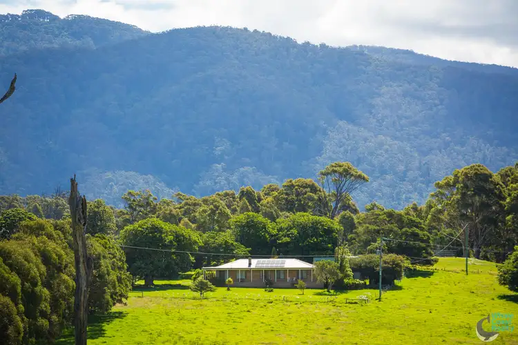 Main view of Homely house listing, 149 Sunnyside Road, Central Tilba NSW 2546