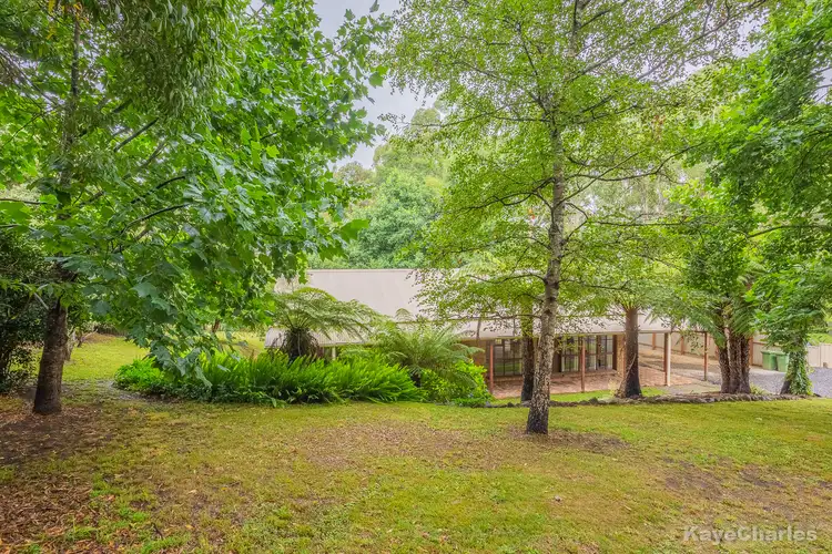 Second view of Homely house listing, 37 Caroline Avenue, Cockatoo VIC 3781