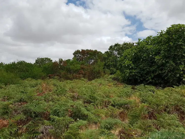 Sixth view of Homely land listing, LOT 105 Ocean View Drive, Nepean Bay SA 5223