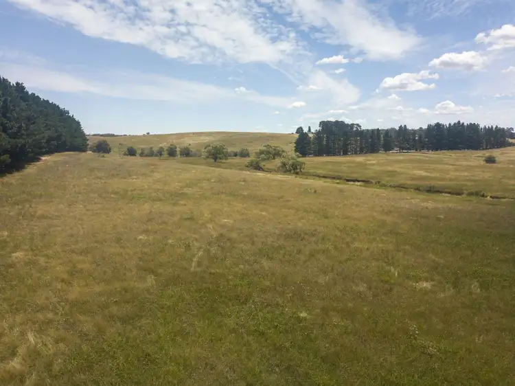 Third view of Homely rural property listing, 3120 Oallen Ford Road, Windellama NSW 2580