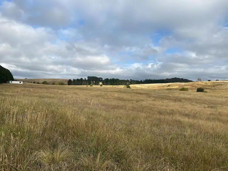 Fifth view of Homely rural property listing, 3120 Oallen Ford Road, Windellama NSW 2580