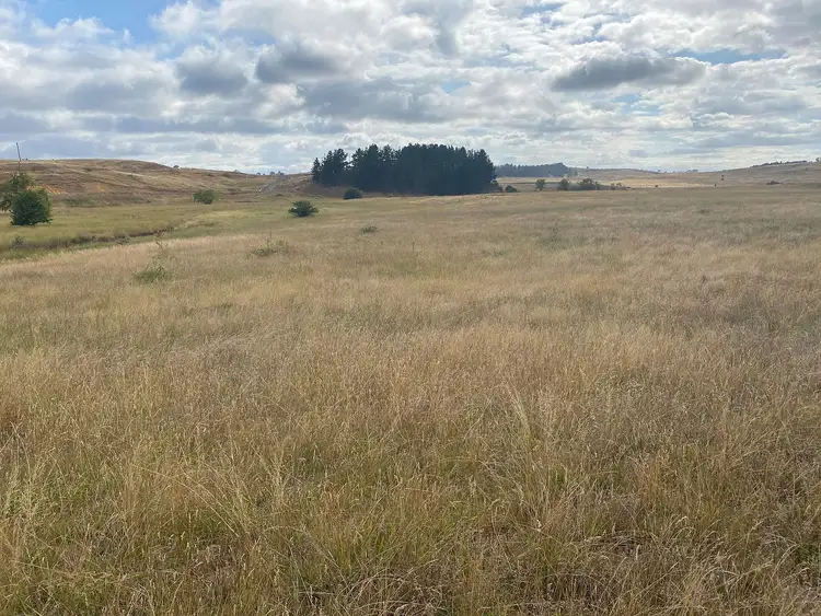 Seventh view of Homely rural property listing, 3120 Oallen Ford Road, Windellama NSW 2580