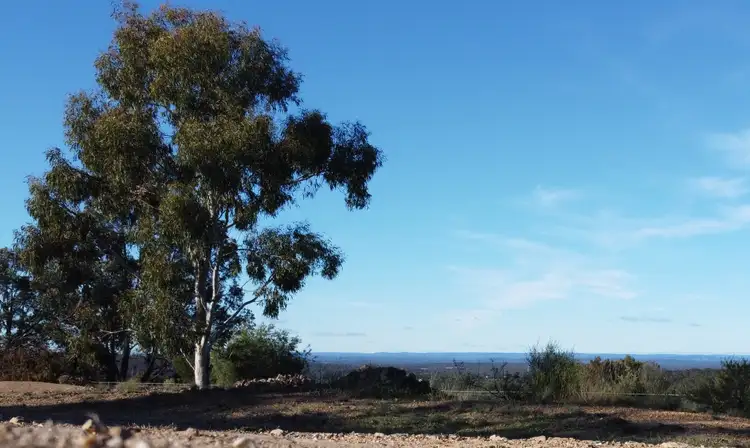 Second view of Homely rural property listing, 255 Willow Glen Road, Lower Boro NSW 2580