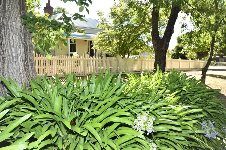 15 WILLIAMS STREET, Beechworth VIC 3747