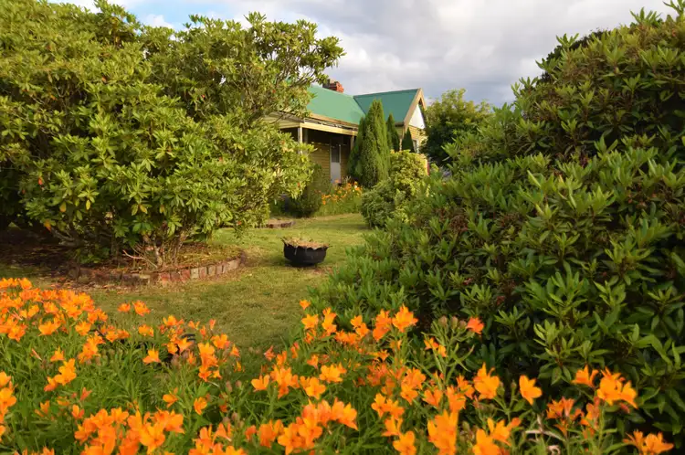 38 Vincent Street, Waratah TAS 7321