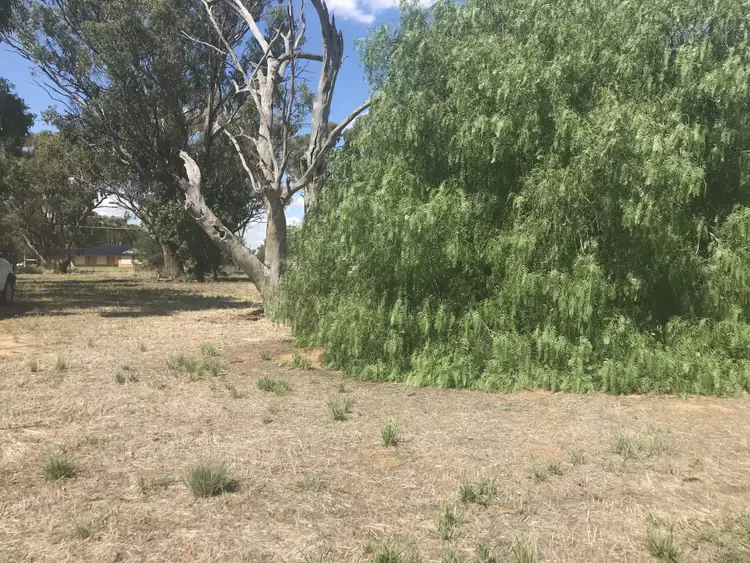 Sixth view of Homely land listing, 176 Jerilderie Street, Berrigan NSW 2712