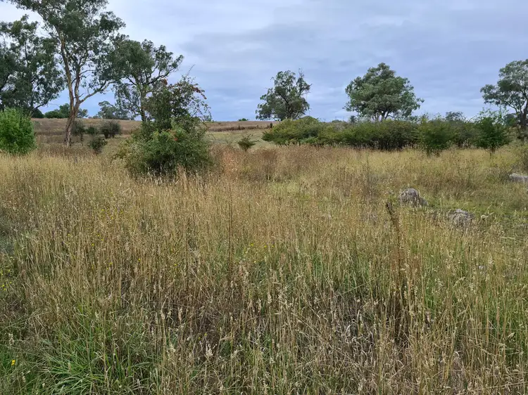 Main view of Homely land listing, 39 Queen Street, Molong NSW 2866