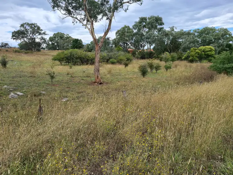 Third view of Homely land listing, 39 Queen Street, Molong NSW 2866