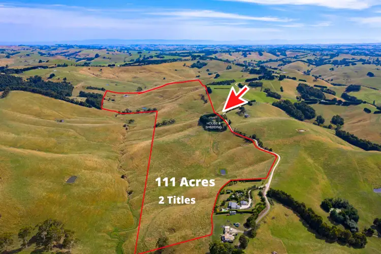 Main view of Homely rural property listing, 250 Buchanans Road, Bena VIC 3946