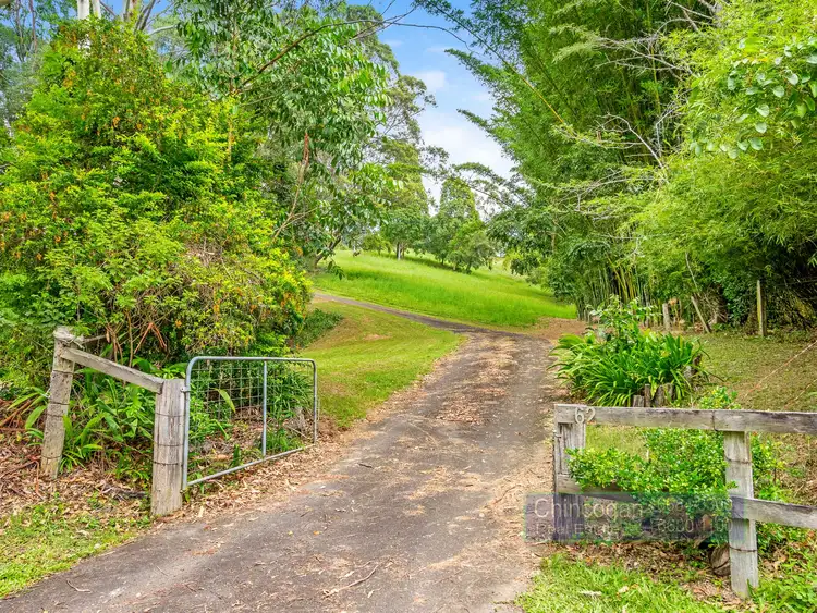 Sixth view of Homely rural property listing, 62 Bluegum Court, Crabbes Creek NSW 2483