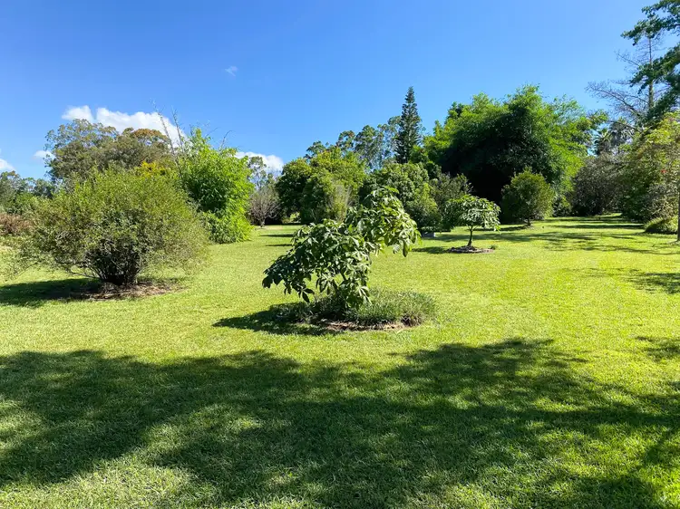 Second view of Homely rural property listing, 257 Kimbriki Road, Kimbriki NSW 2429
