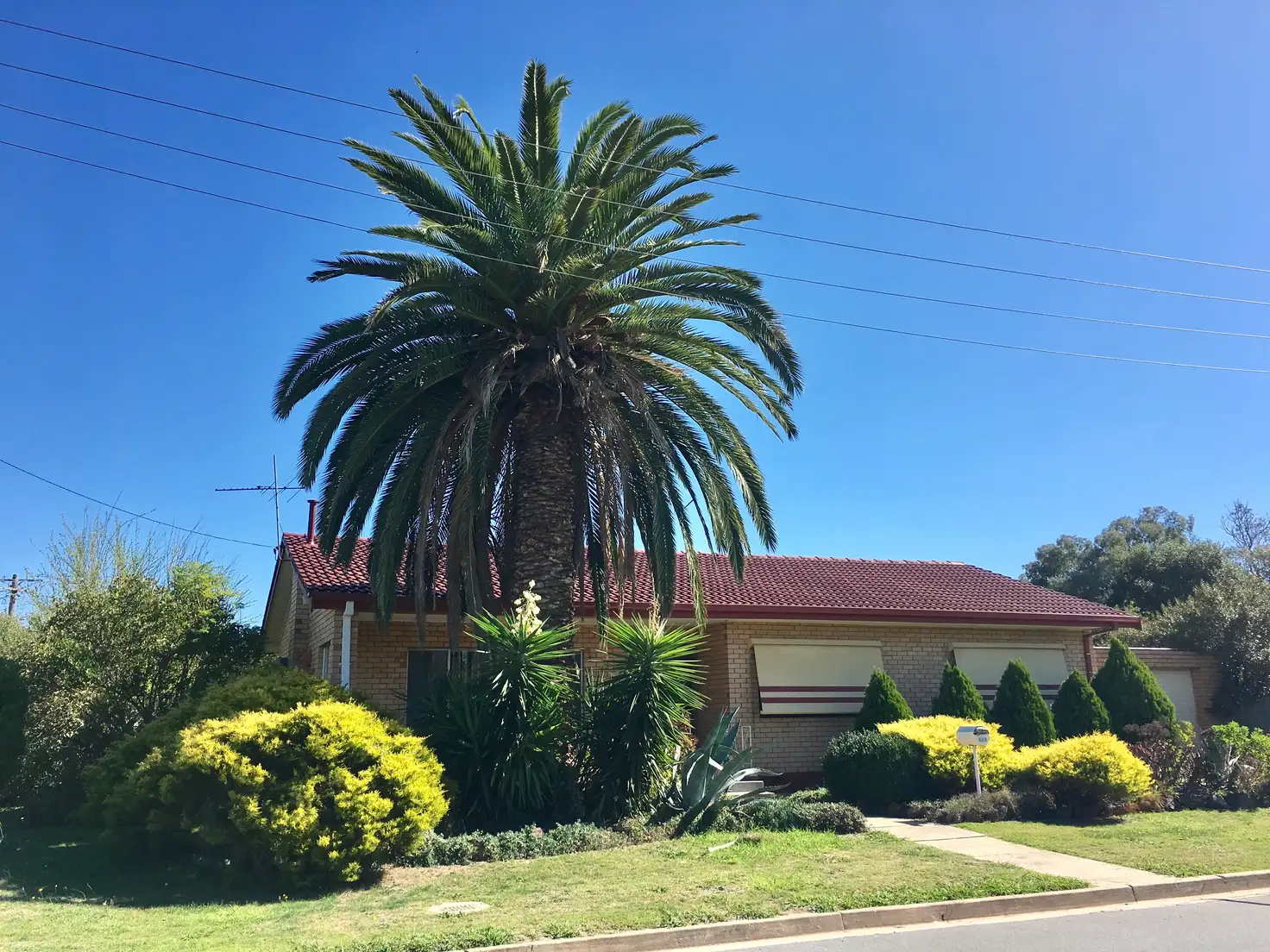 Main view of Homely house listing, 520 Mutsch Street, Lavington NSW 2641