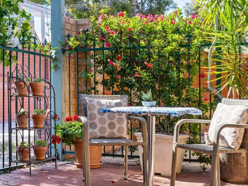 Main view of Homely villa listing, 8/554 William Street, Mount Lawley WA 6050