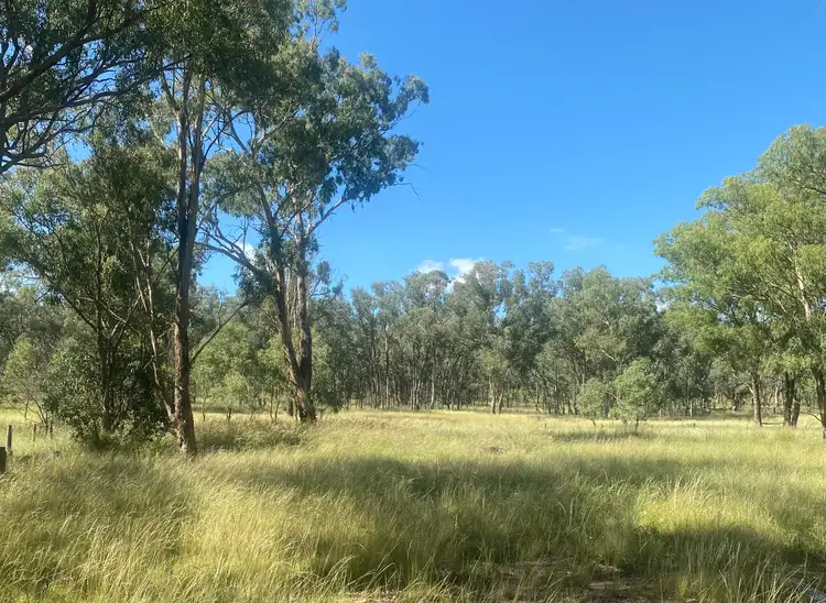 695 Coybil Road, Weetaliba NSW 2395