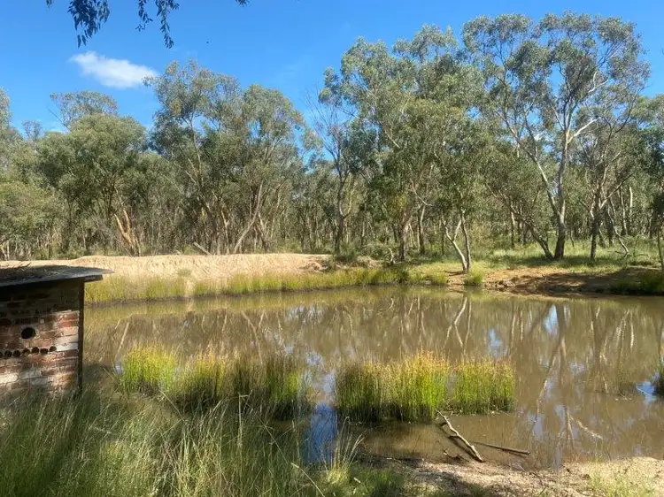 Sixth view of Homely land listing, 695 Coybil Road, Weetaliba NSW 2395
