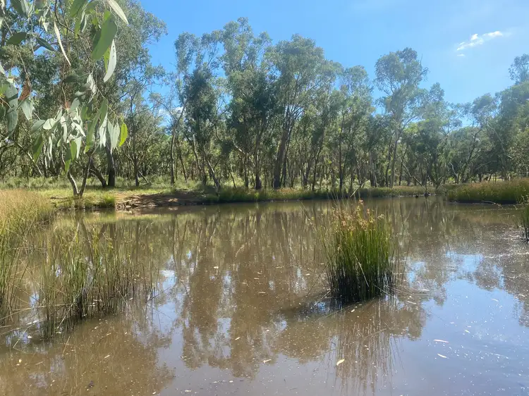 Seventh view of Homely land listing, 695 Coybil Road, Weetaliba NSW 2395