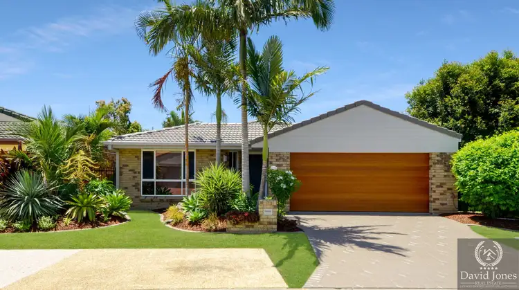 71 Numbat Court East, Coombabah QLD 4216