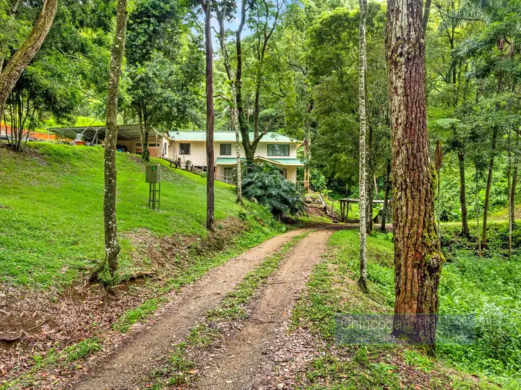 443 Goonengerry Road, Goonengerry NSW 2482