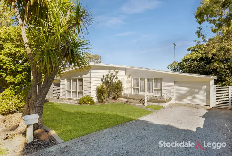 Main view of Homely house listing, 19 EVON AVENUE, Ringwood East VIC 3135